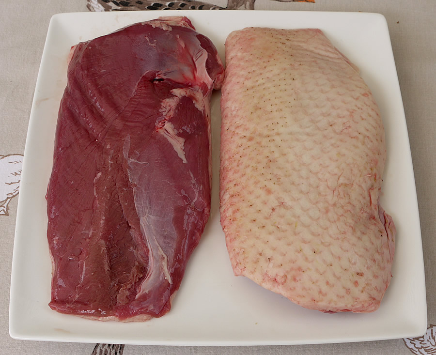 Magret de canard de Barbarie