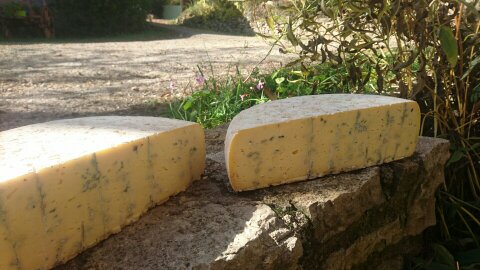 fromage le Bleu du Mazet