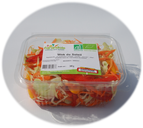 Wok du soleil