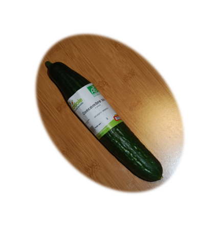 Concombre bio