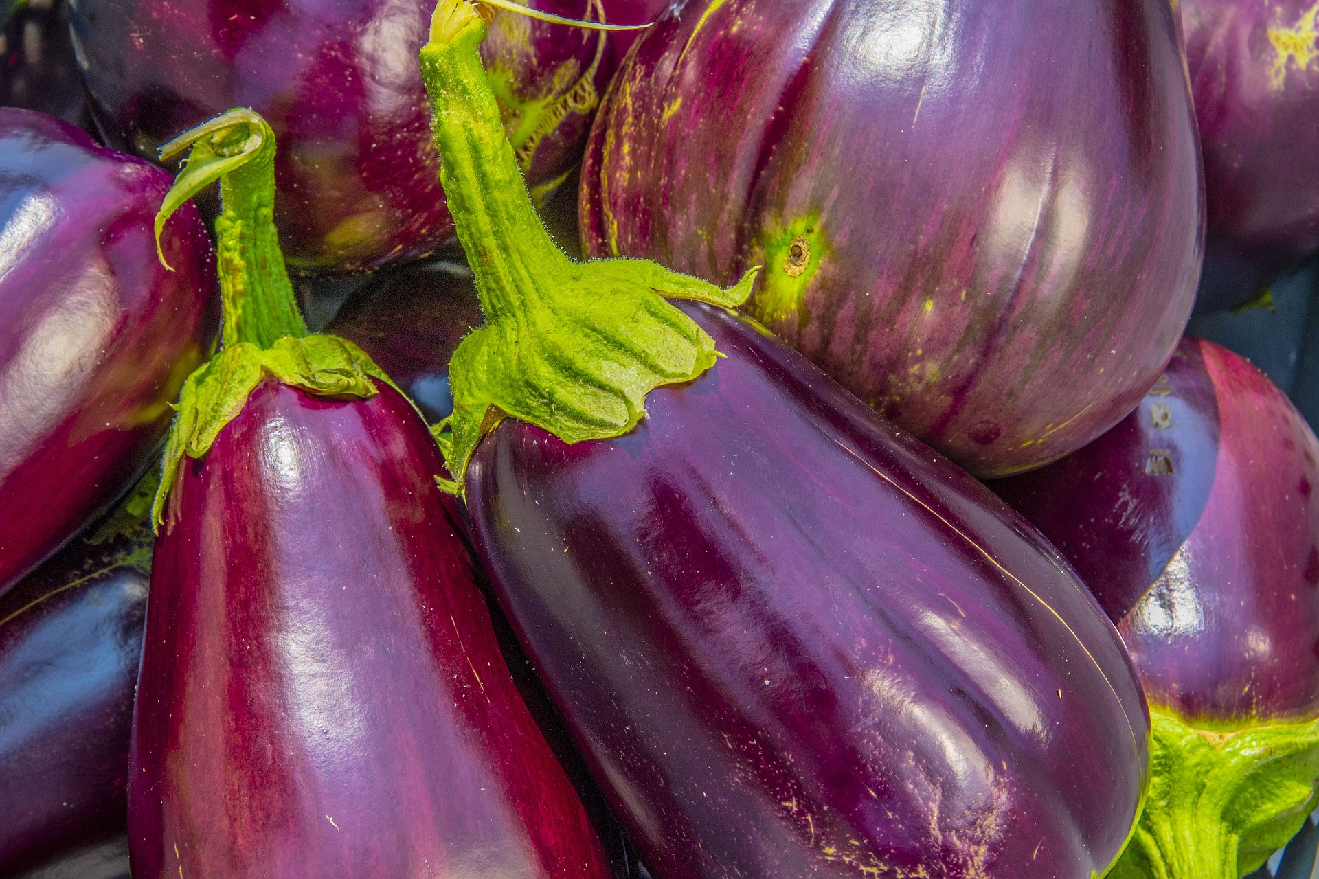 Aubergine au kg