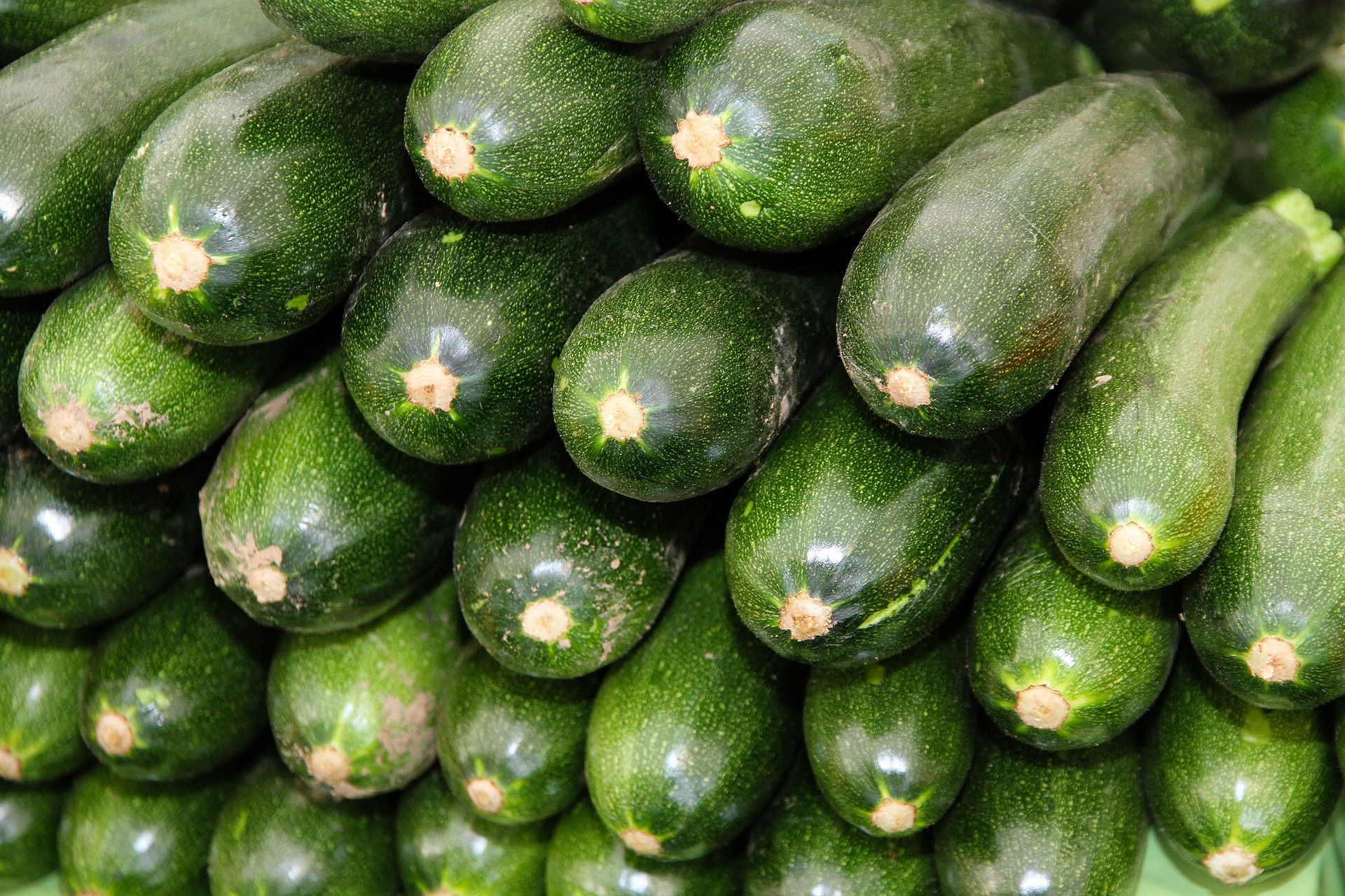 Courgettes au kg