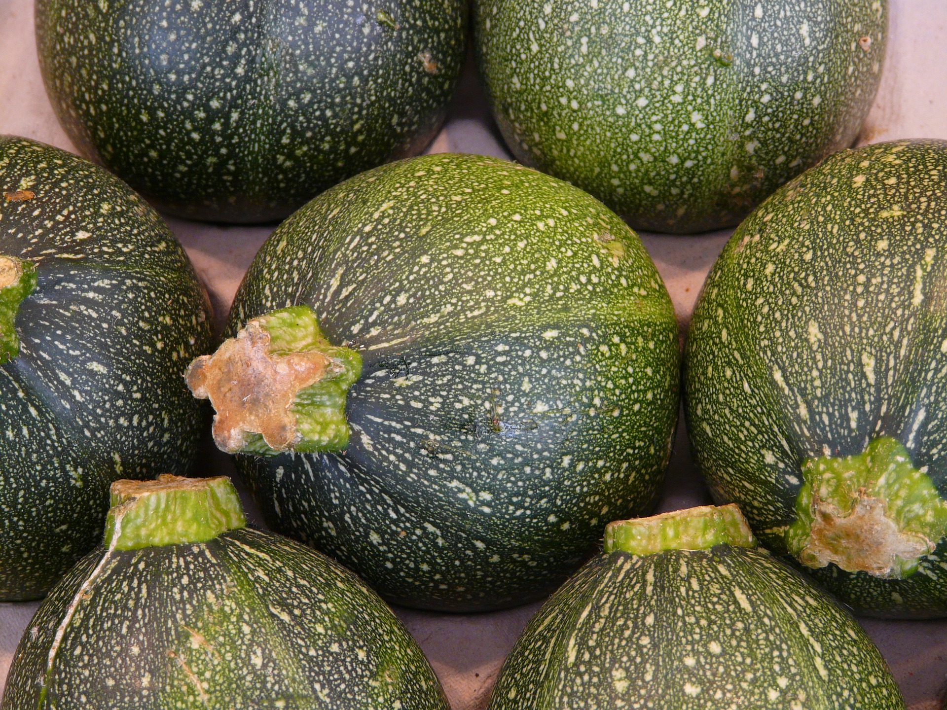 Courgette ronde au kg