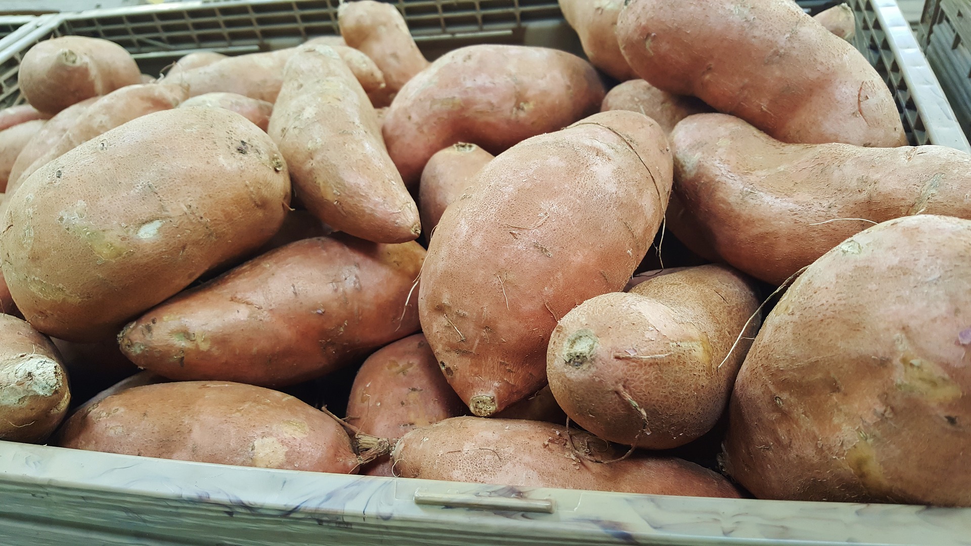 Patate douce au kg