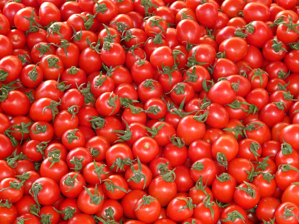 Tomate ronde au kg