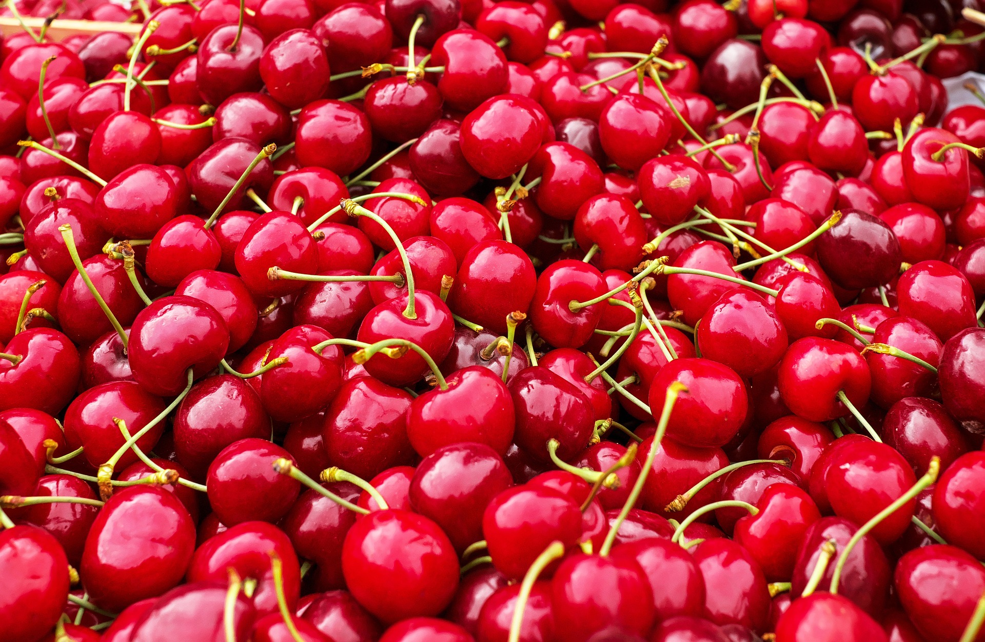 Cerise au kg