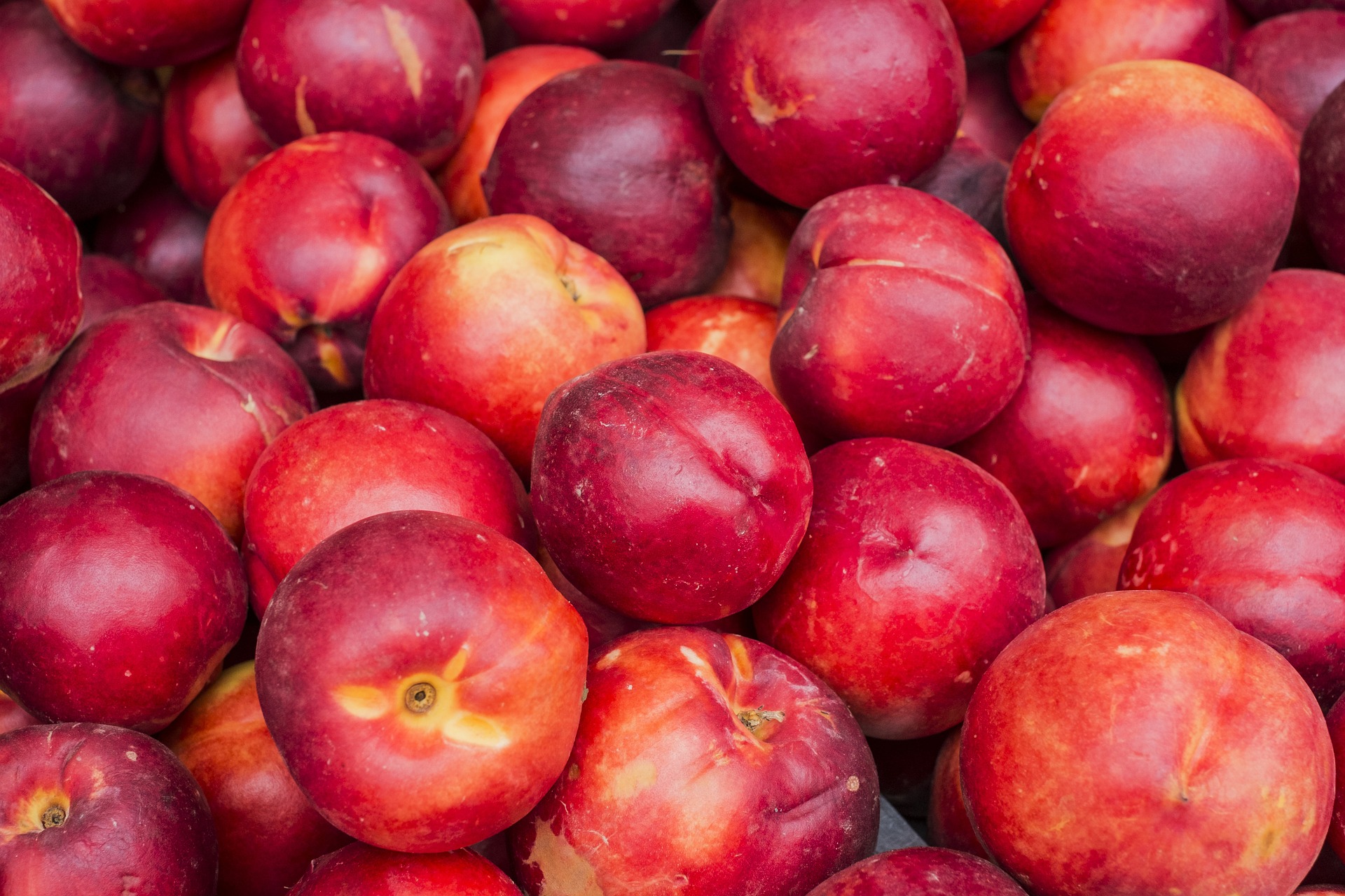 Nectarine au kg