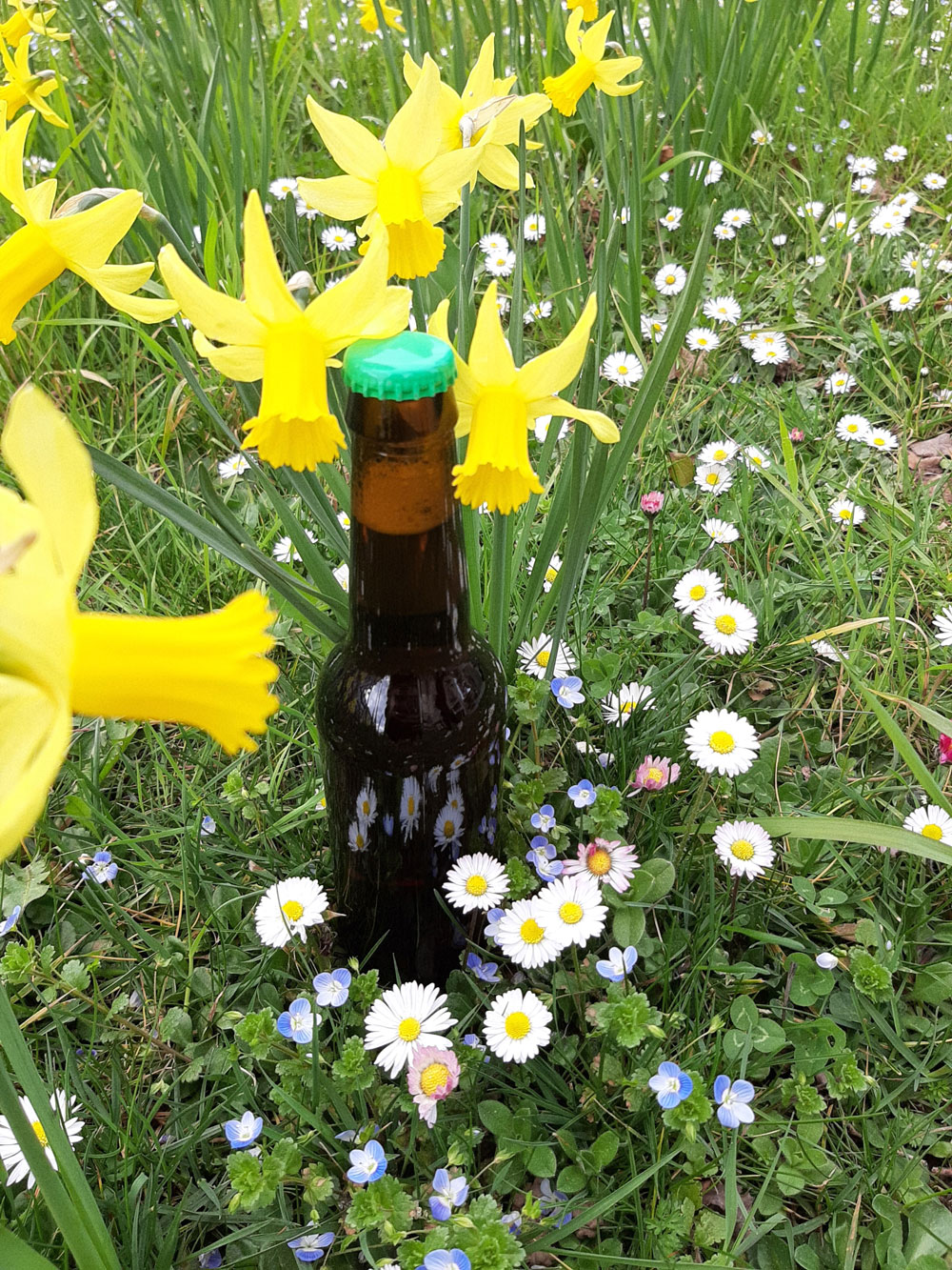 B12 DE PRINTEMPS