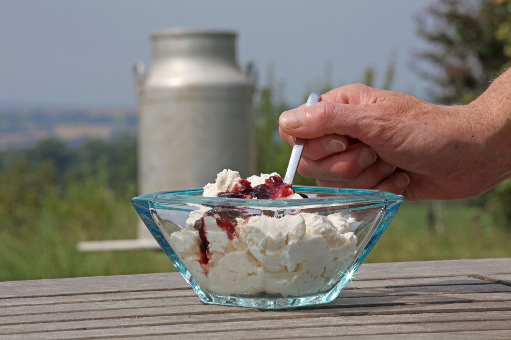 Fromage de Campagne