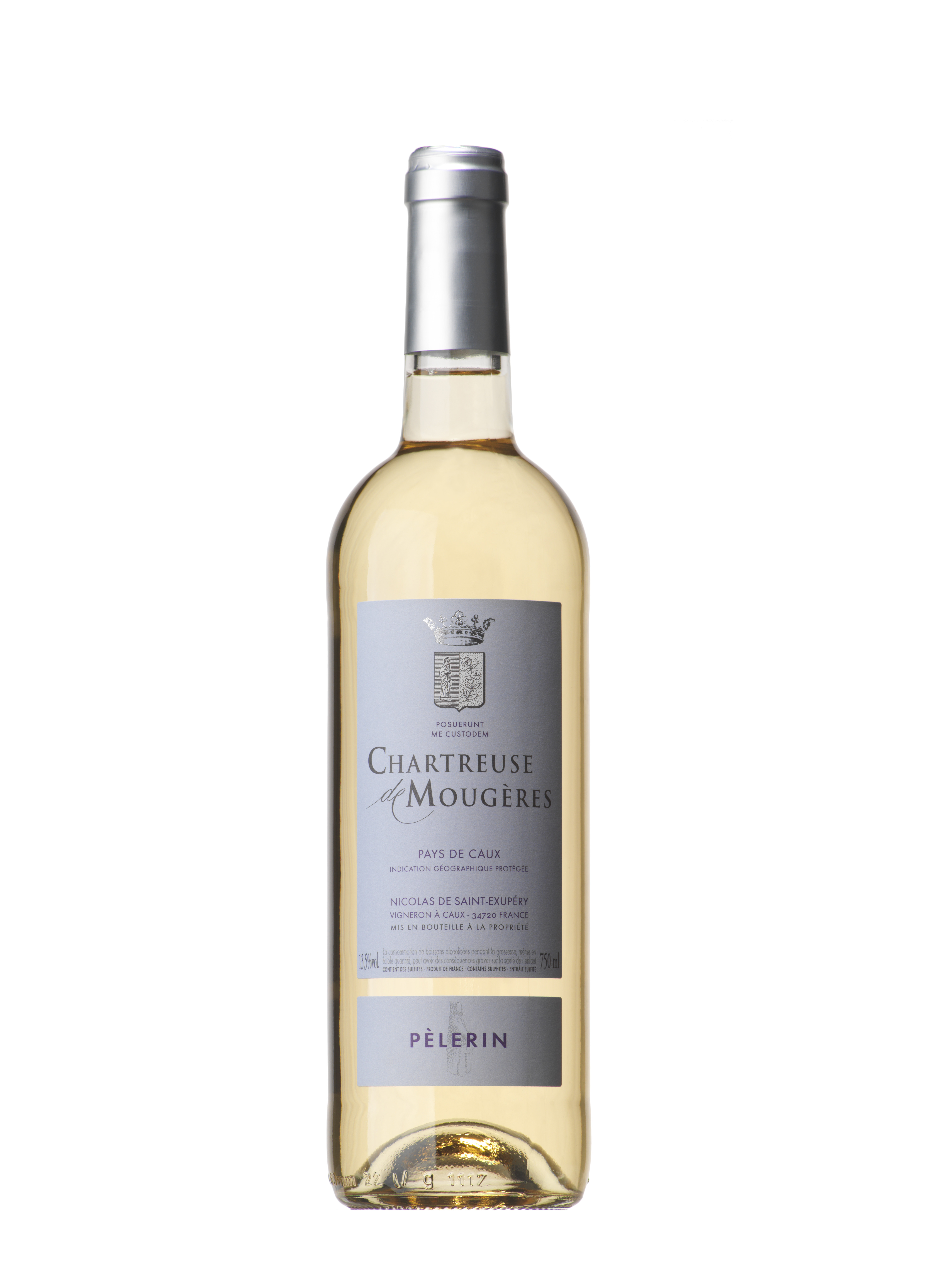 Pèlerin Blanc