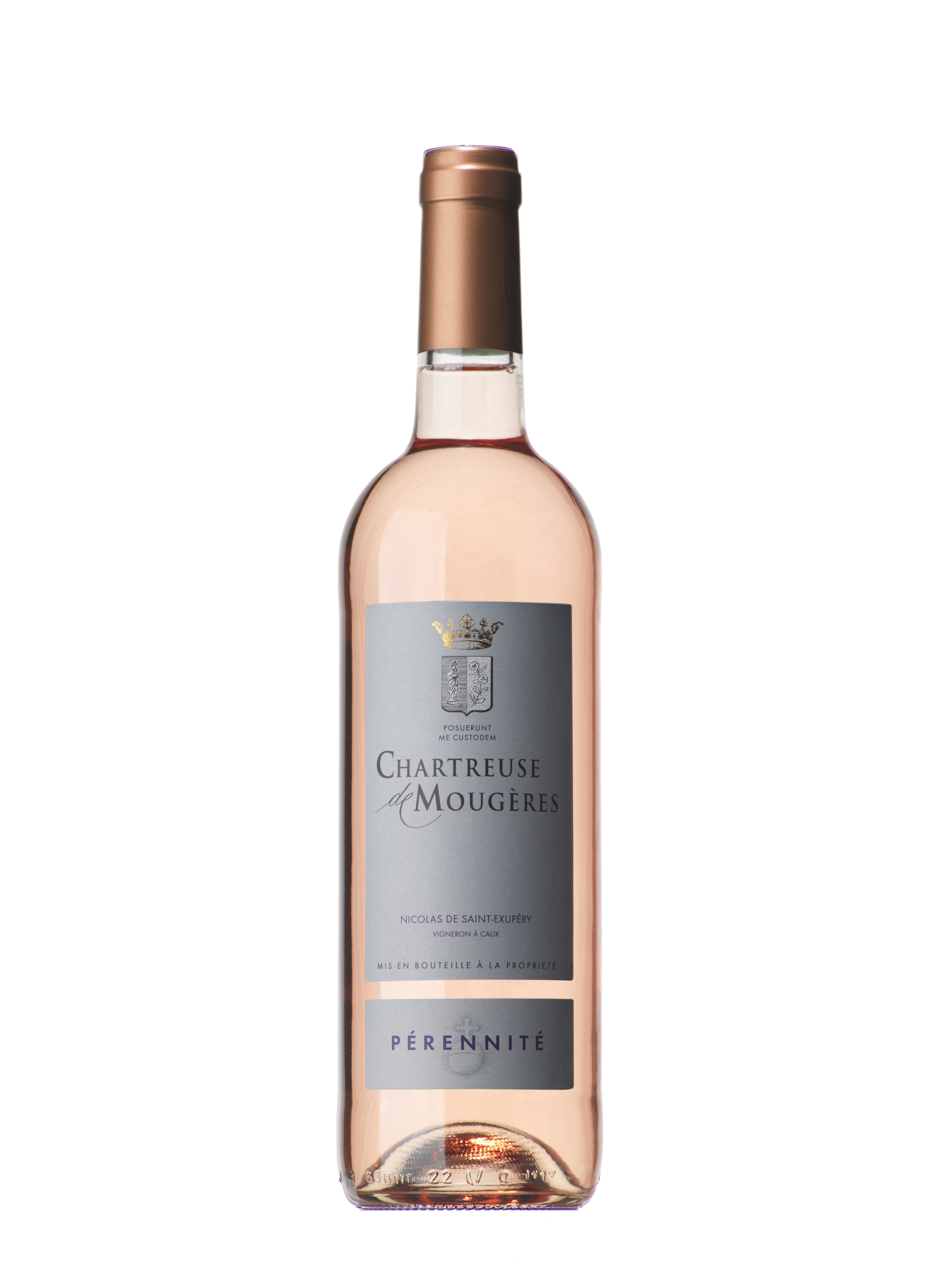 Pérennité Rosé