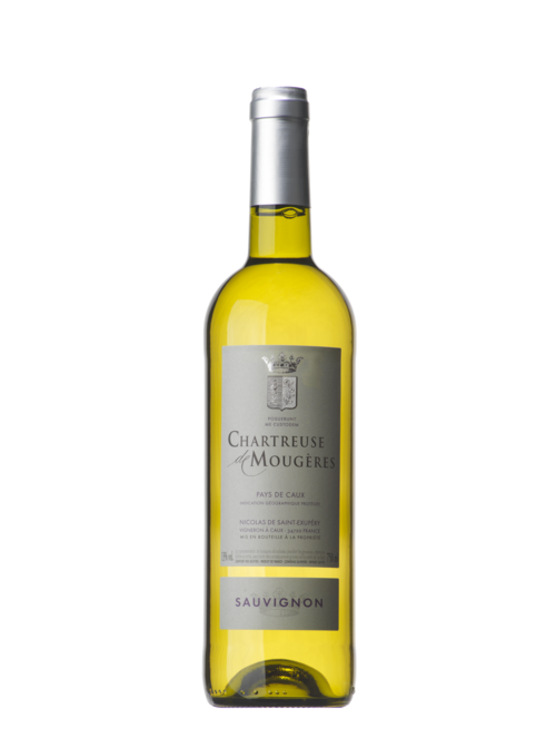 Sauvignon Blanc