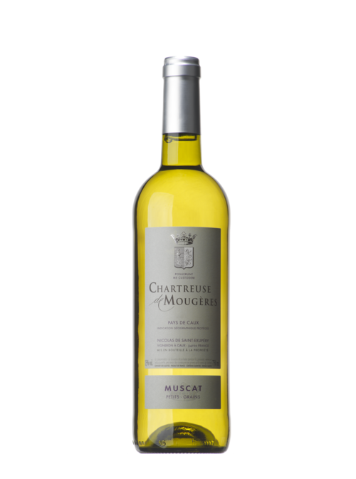 Muscat petits grains