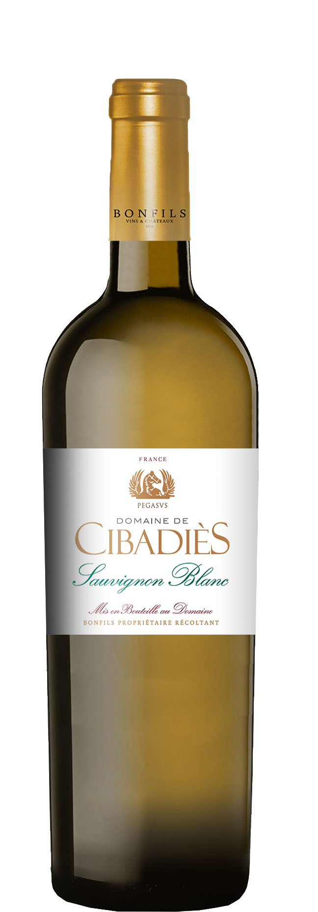 Vignobles Bonfils - Domaine Cibadiès - Sauvignon