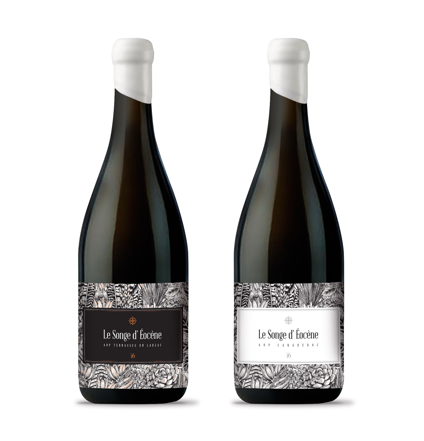 Le Songe d'Eocène Blanc