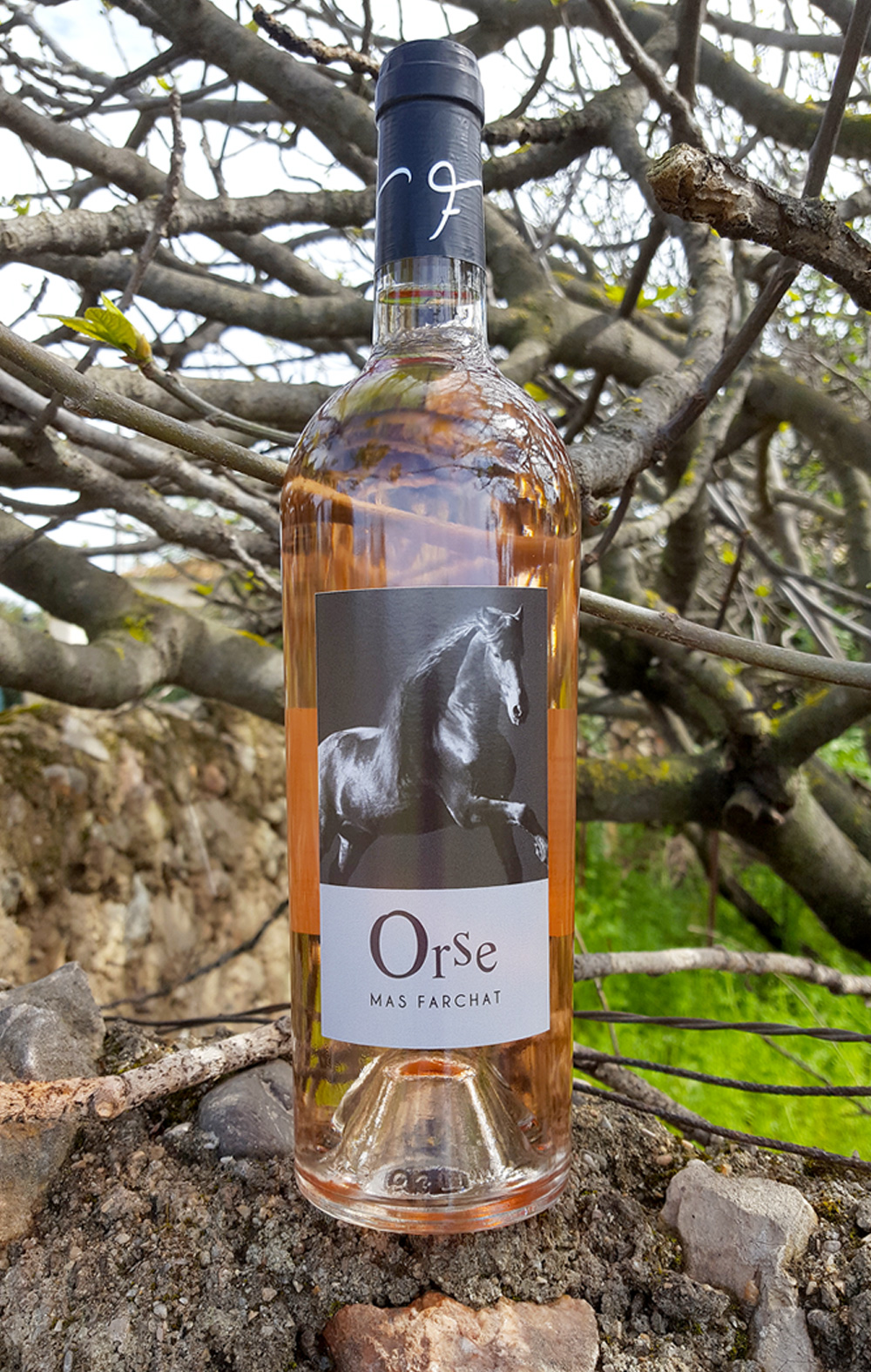 Orse