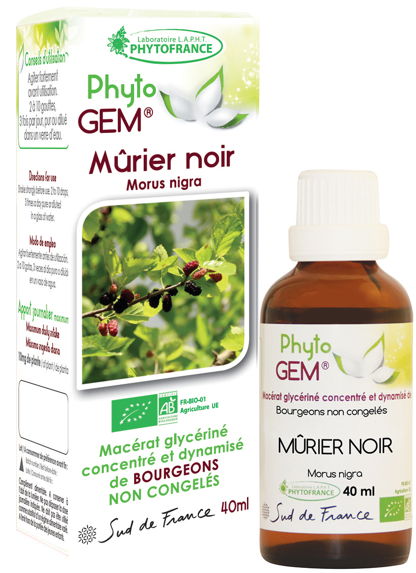 Phytogem Mûrier