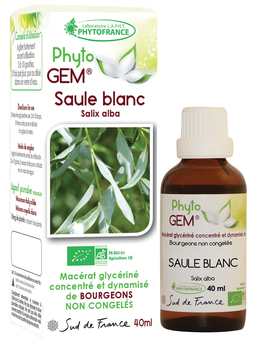 Phytogem Vigne Vierge