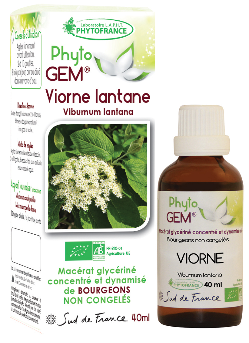 Phytogem Viorne