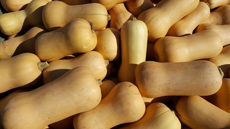 Butternut au kg