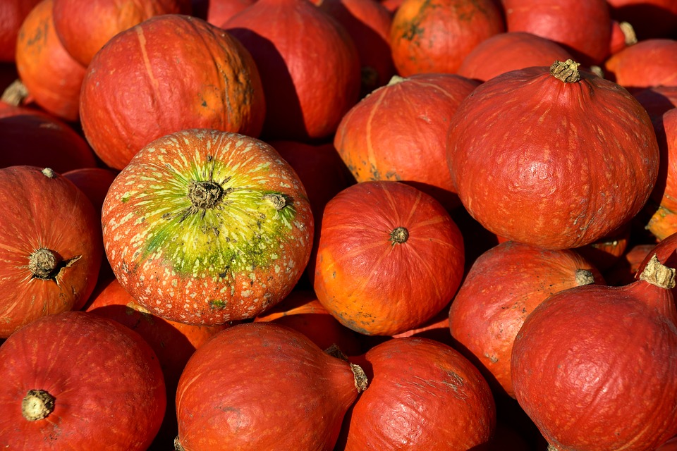 Potimarron au kg