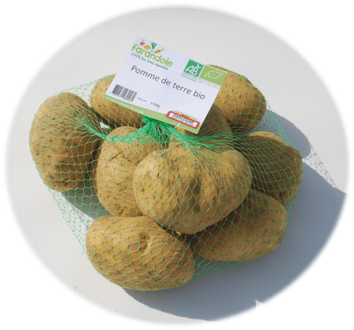 Pomme de terre bio - filet