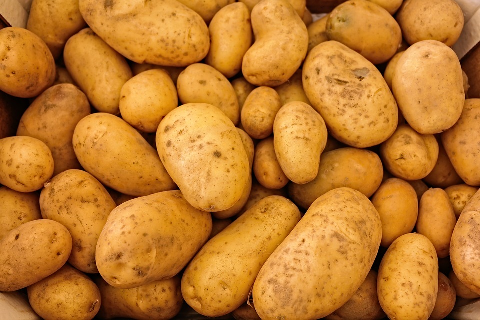 Pomme de terre au kg