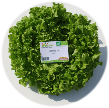 Salade bio