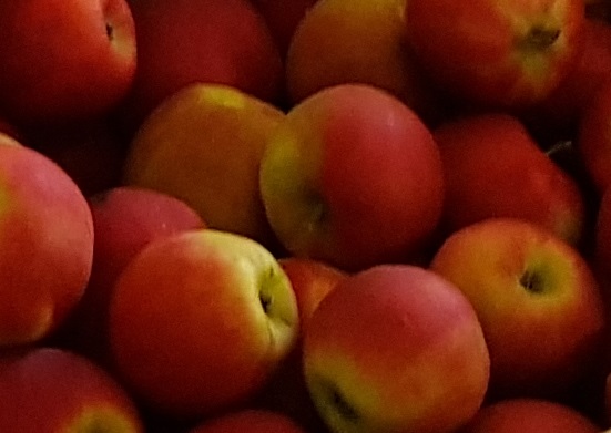 Pomme bio petit calibre