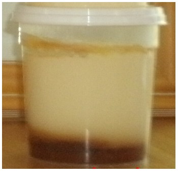 flan fermier