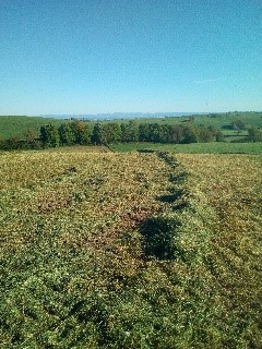 yaourt fermier aux huiles essentielles au lait entier de brebis