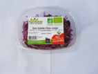 Duo Chou rouge/Salade