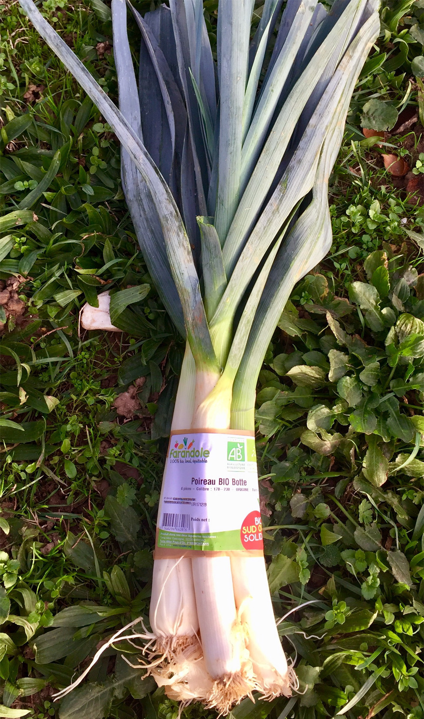 Poireau Bio - en botte