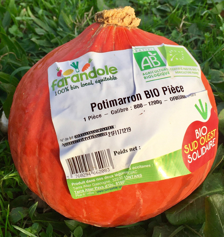 Potimarron Bio - pièce