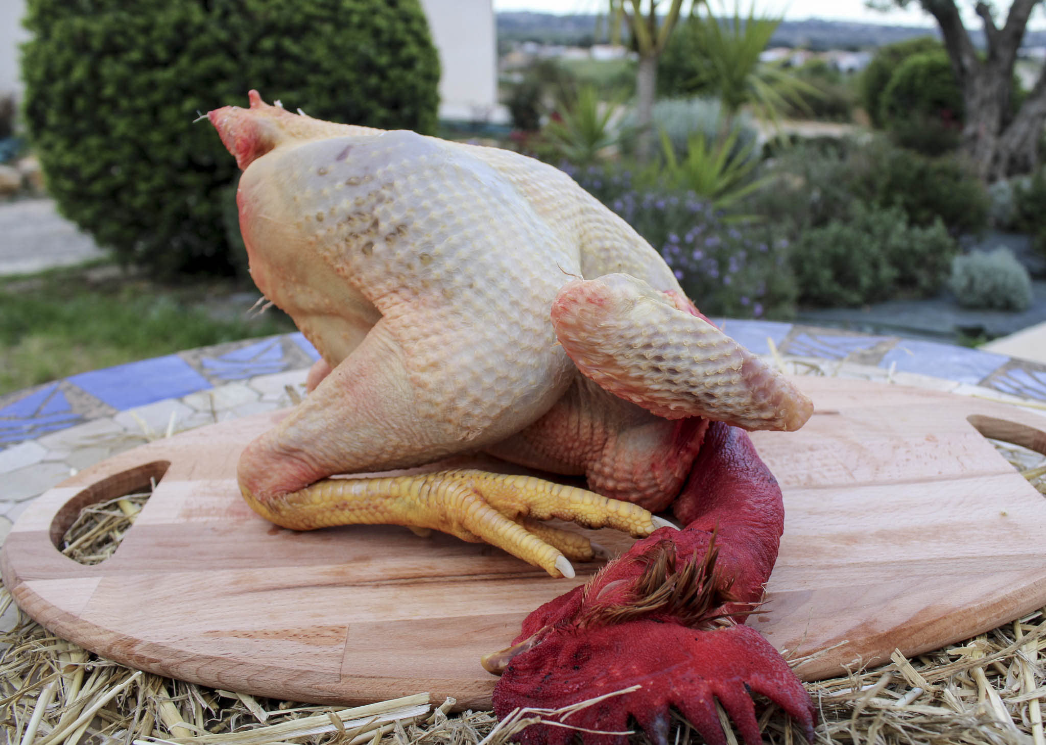 Poulet Fermier