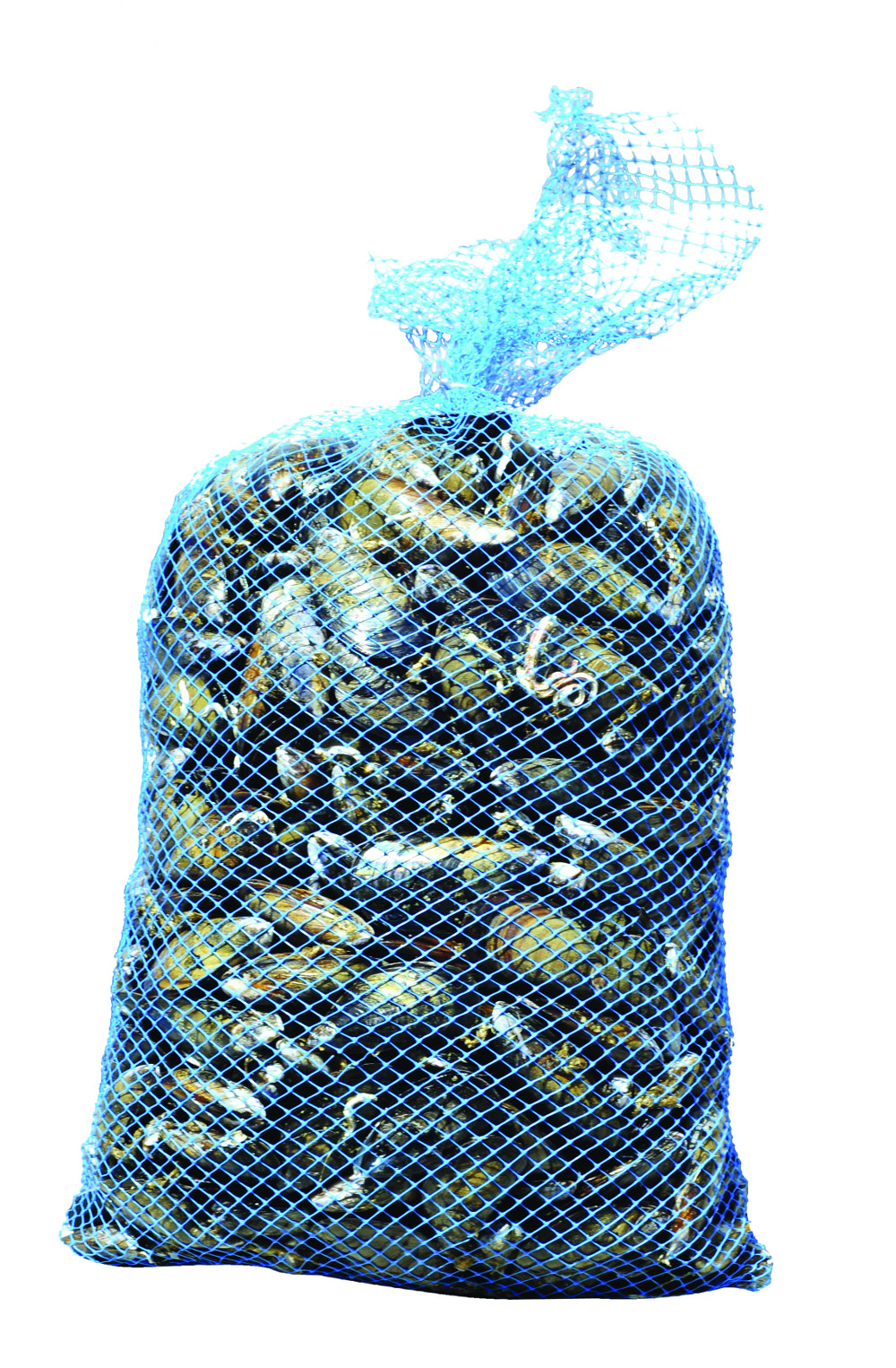 Moules BIO de Méditerranée en vrac