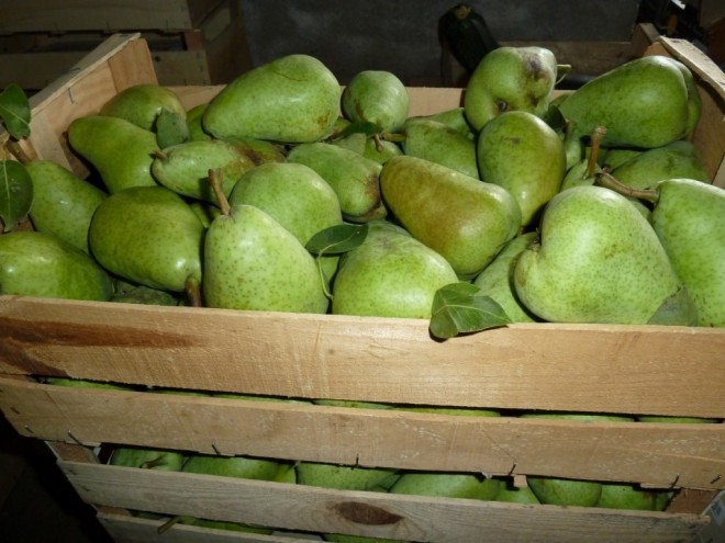 Poires