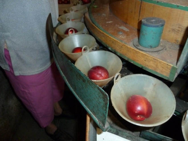 Jus de pomme