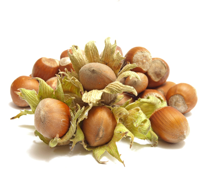 Noisettes
