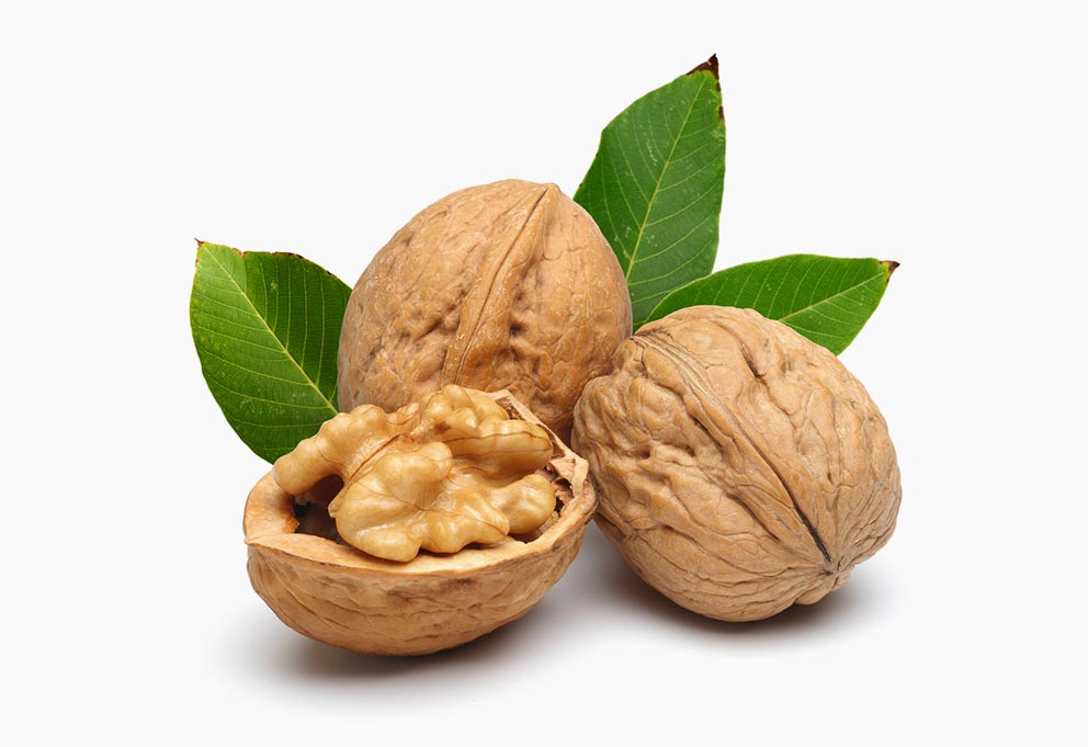 Noix