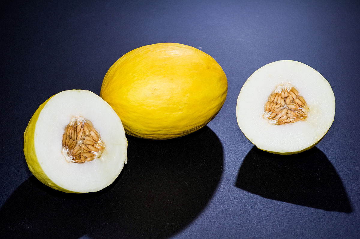 Melon Canari