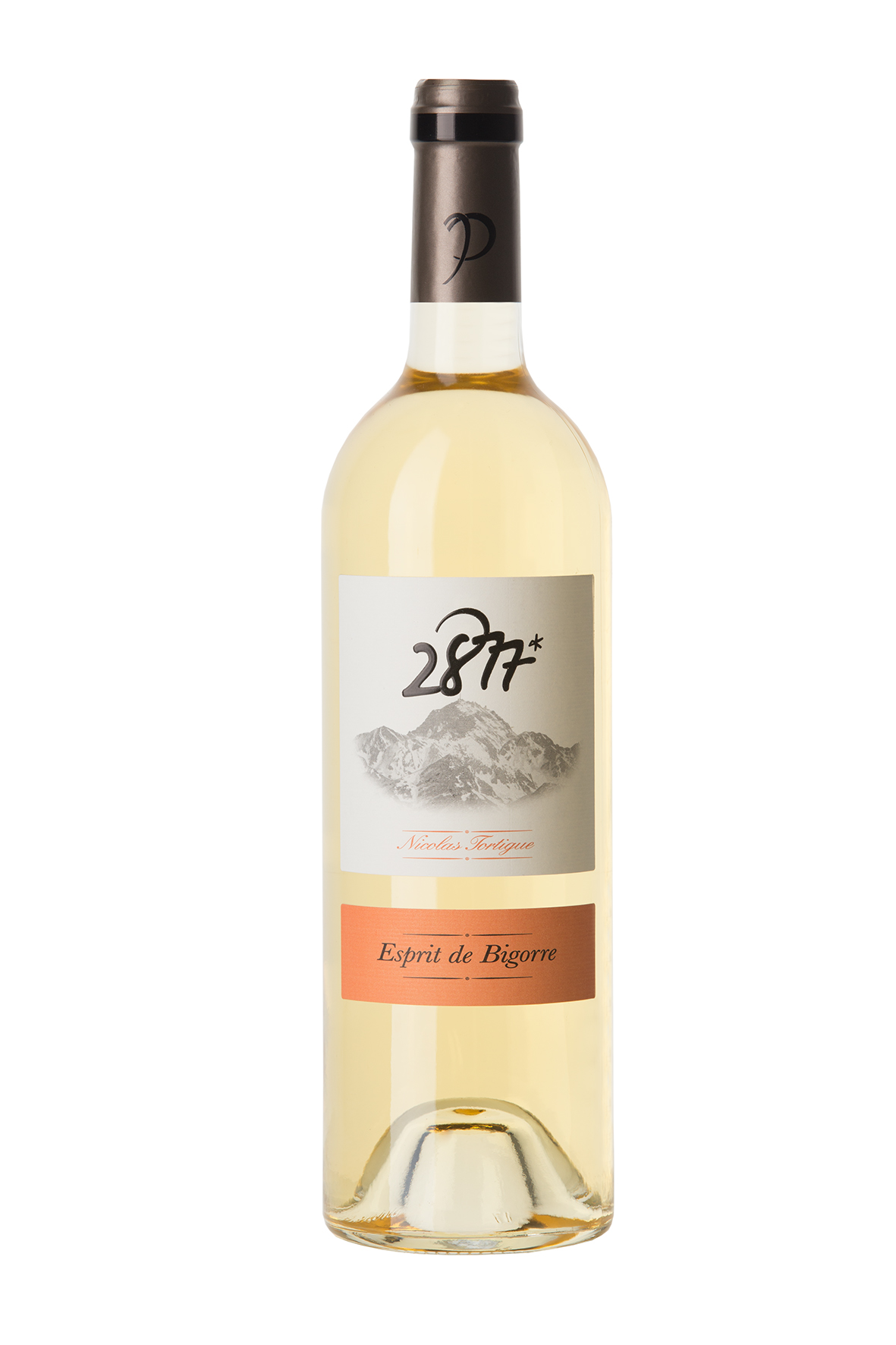 2877 Esprit de Bigorre