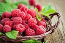 Sorbet framboise