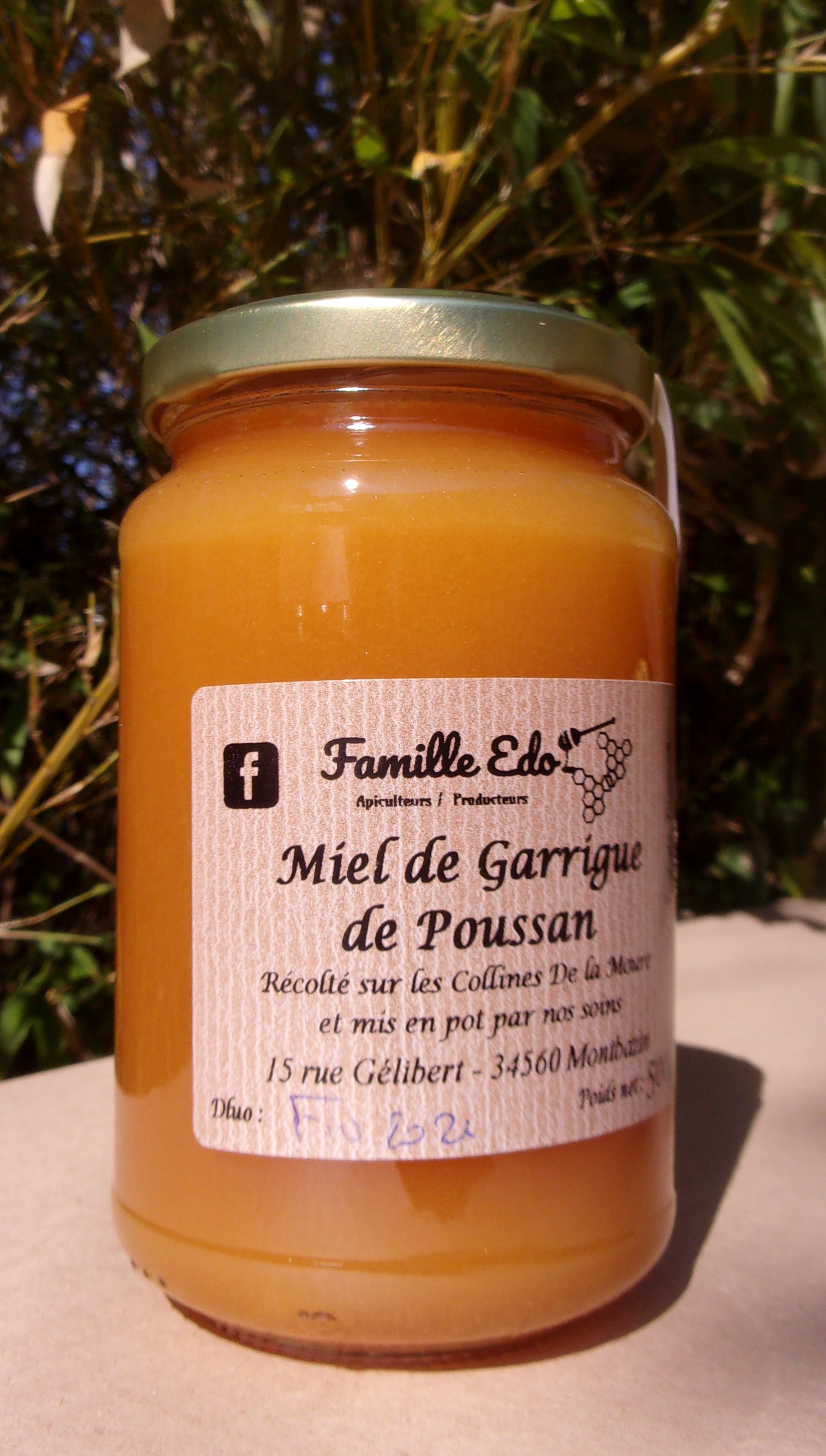Miel de Garrigue de Poussan