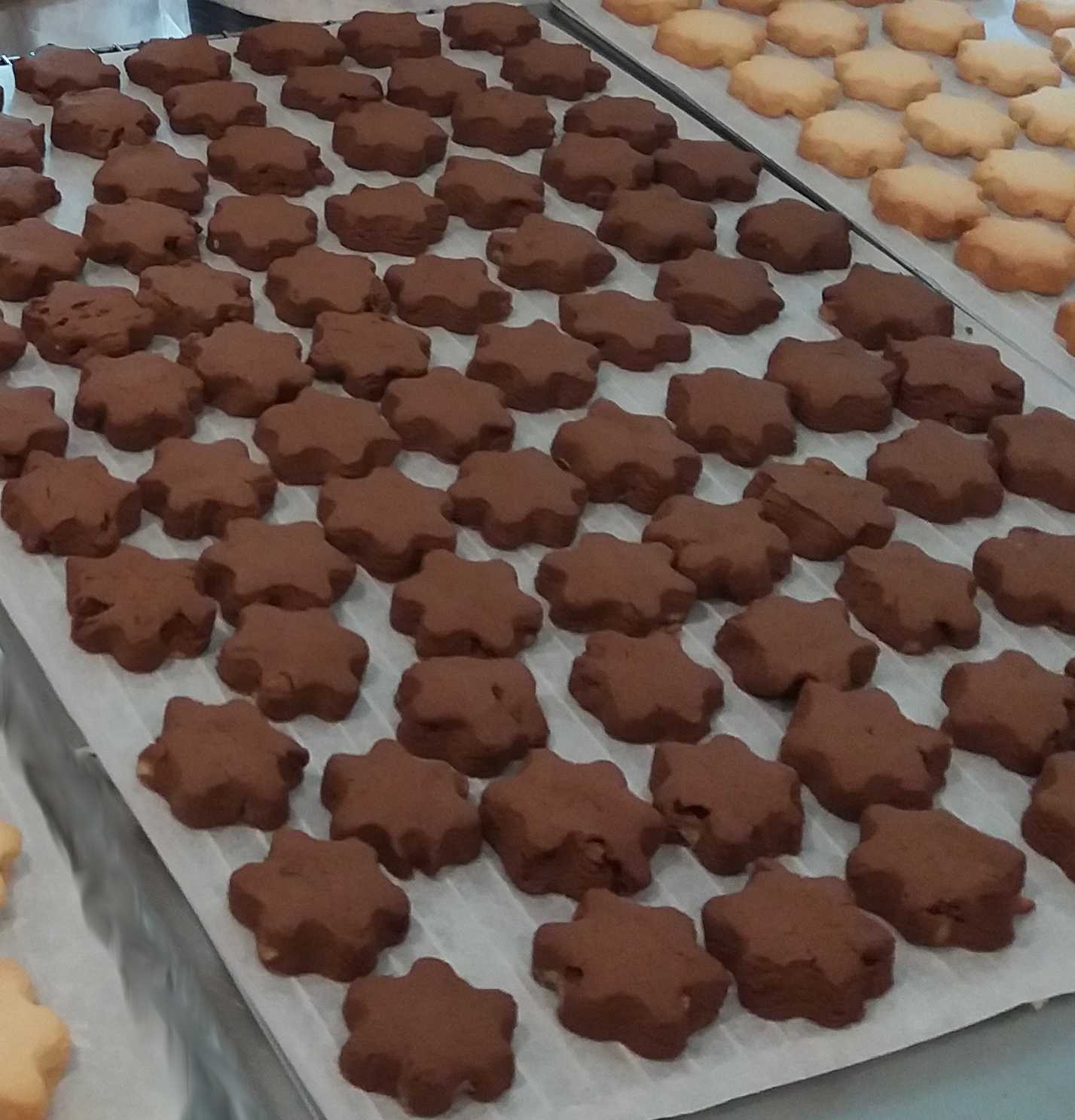 Canistrellini oranges confites et chocolat