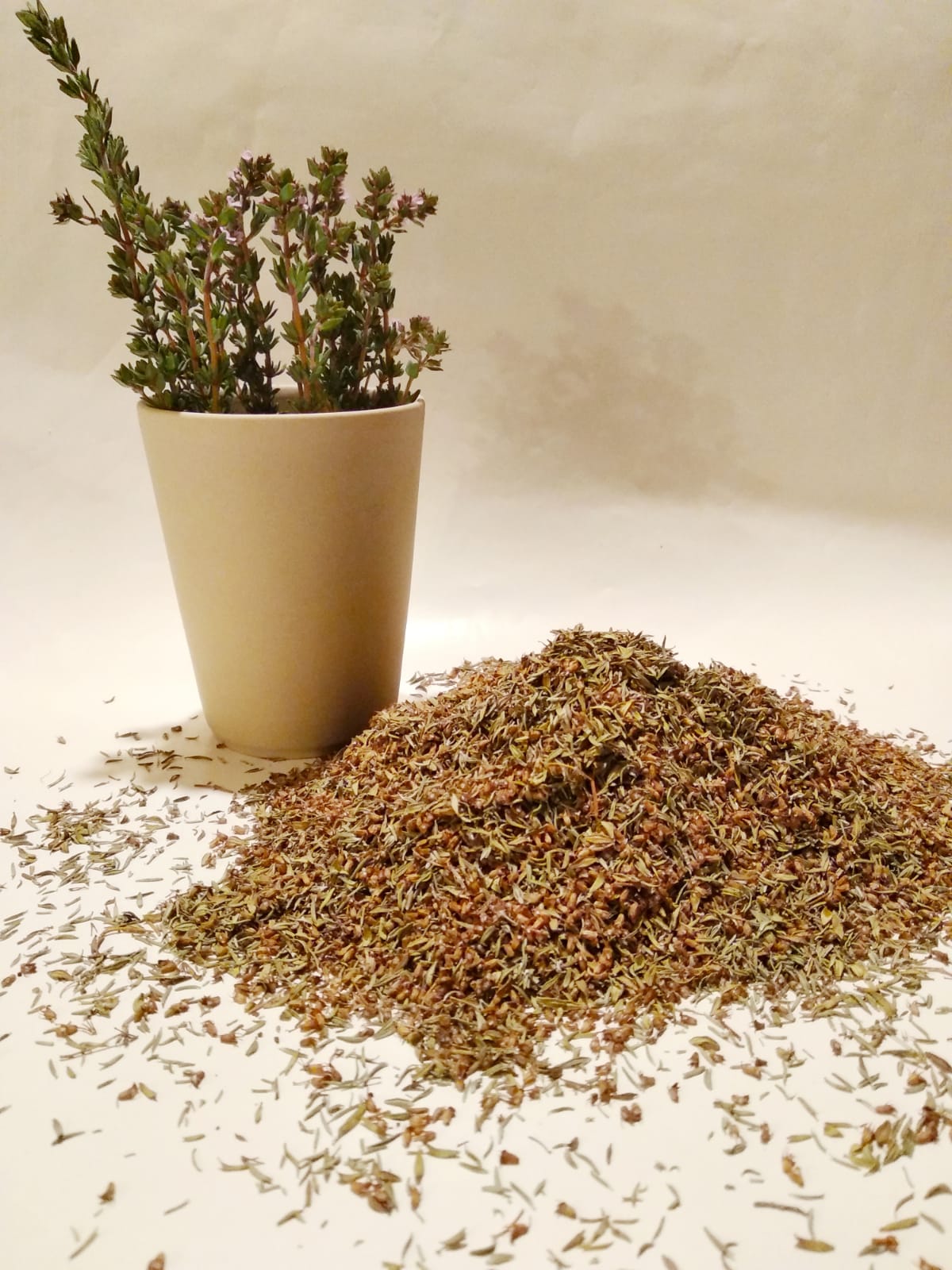 Thym linalol de l'Herbier de Pouzes