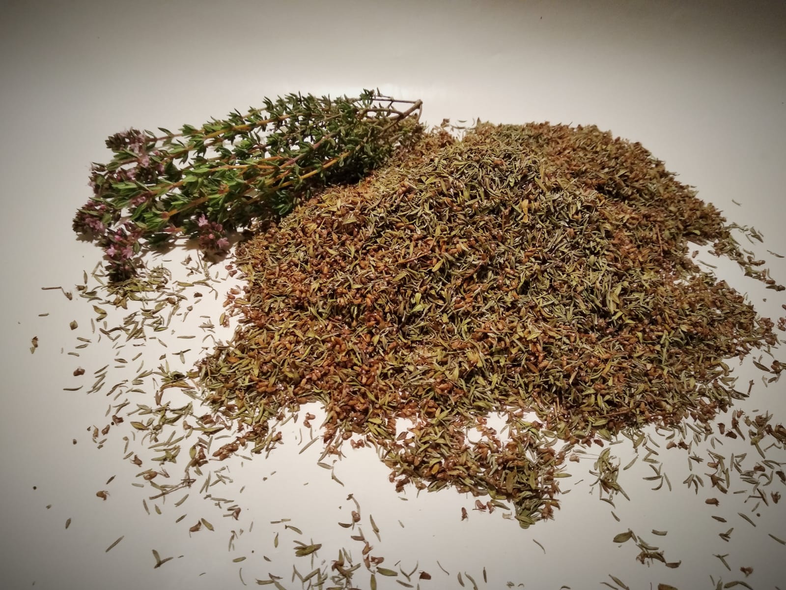 Thym linalol de l'Herbier de Pouzes