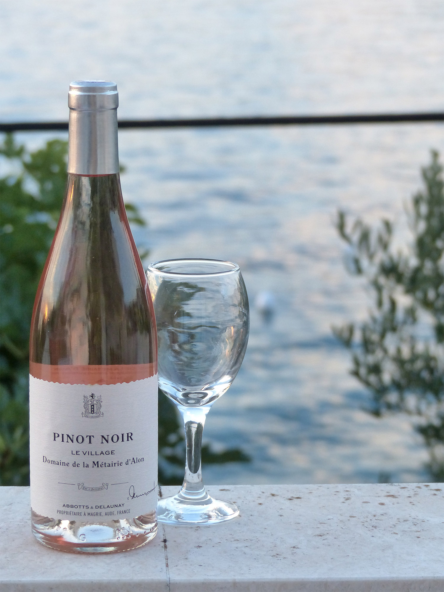 Domaine de la Métairie d'Alon - Pinot Noir rosé le village