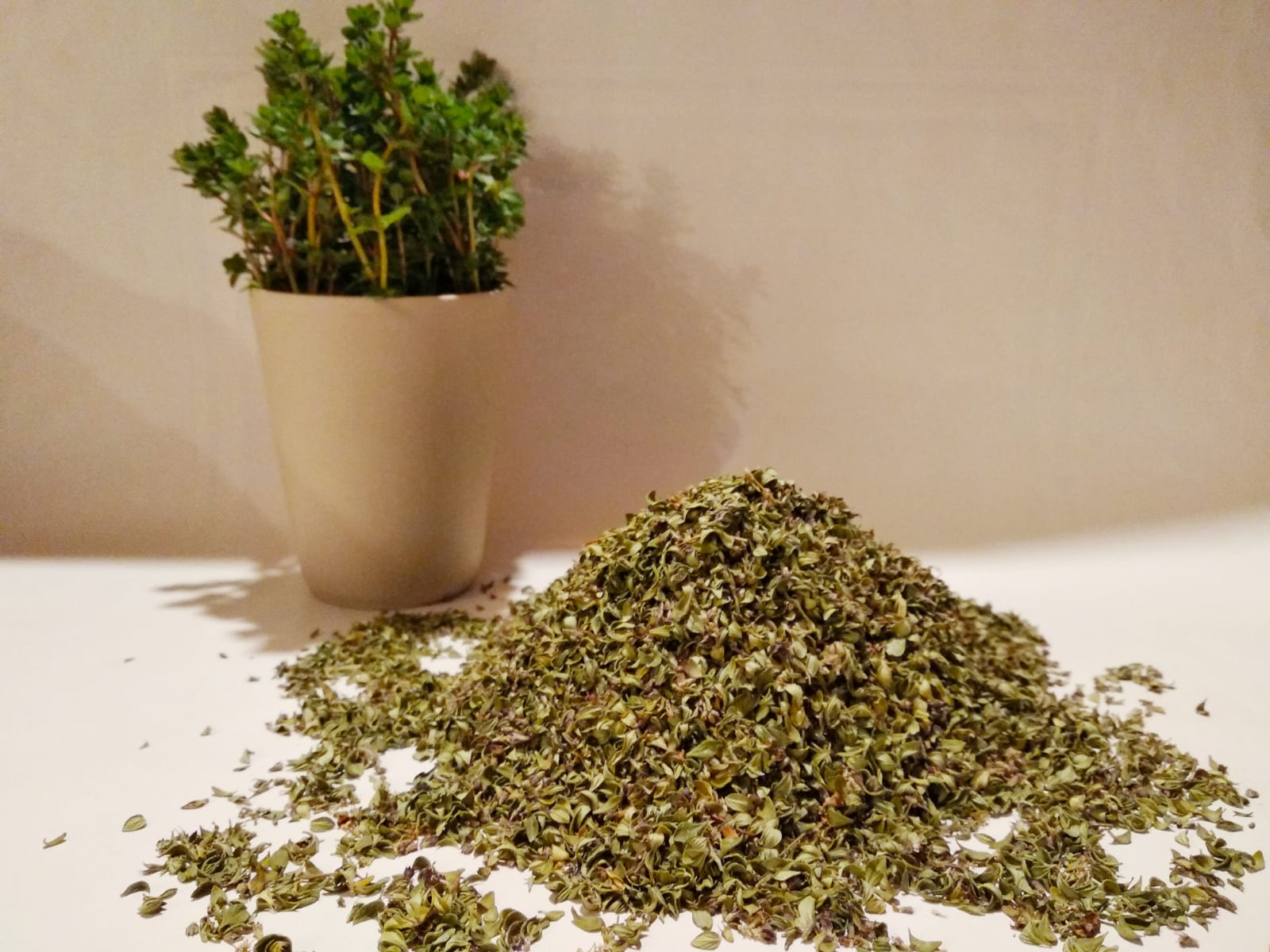 Thym citron de l'Herbier de Pouzes