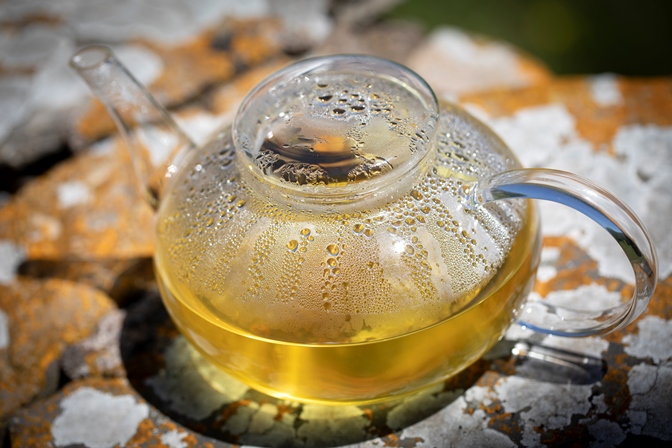Thym citron de l'Herbier de Pouzes